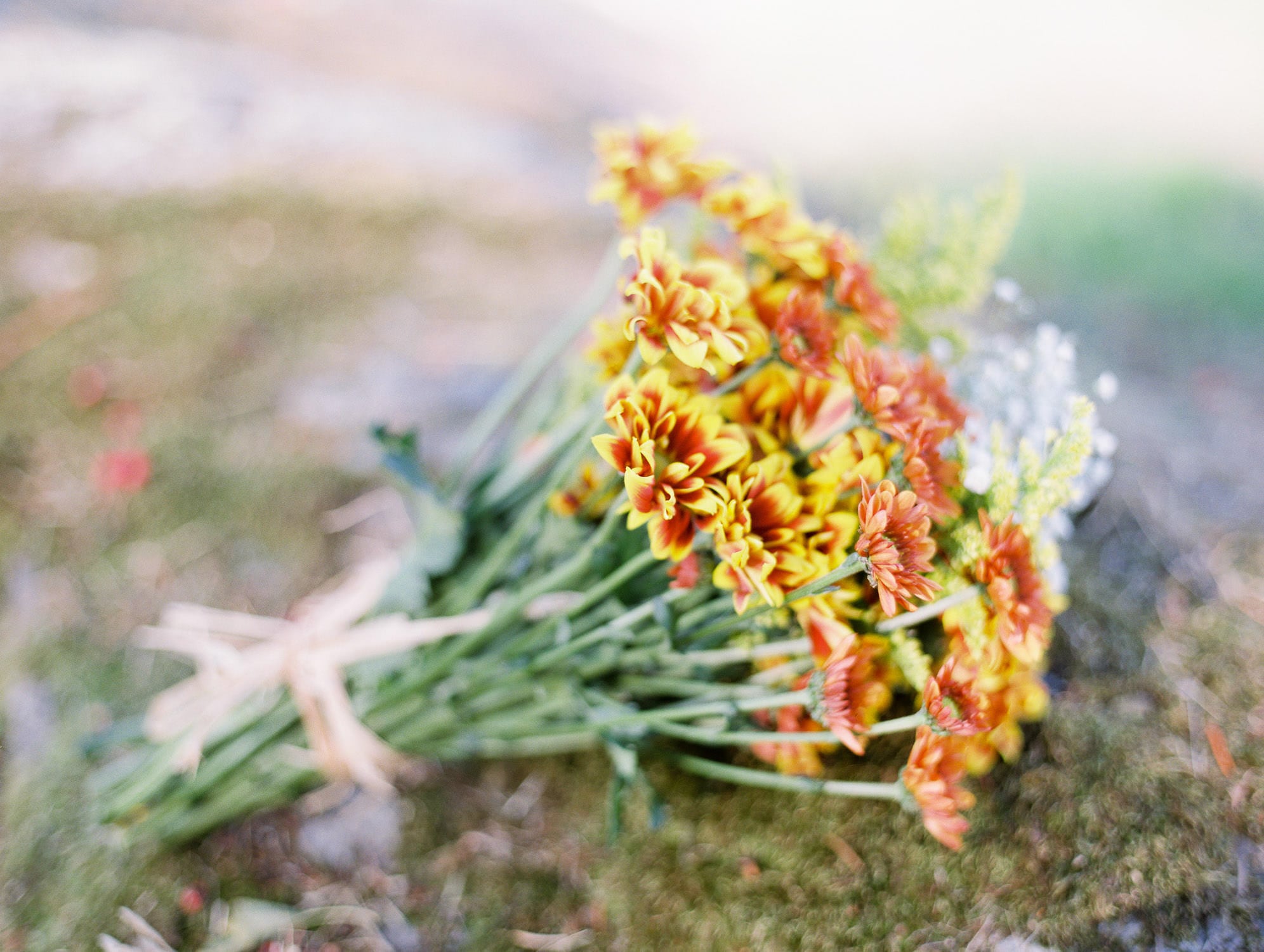 Summer bouquet | Vancouver fine art photographer | Vancouver weddings