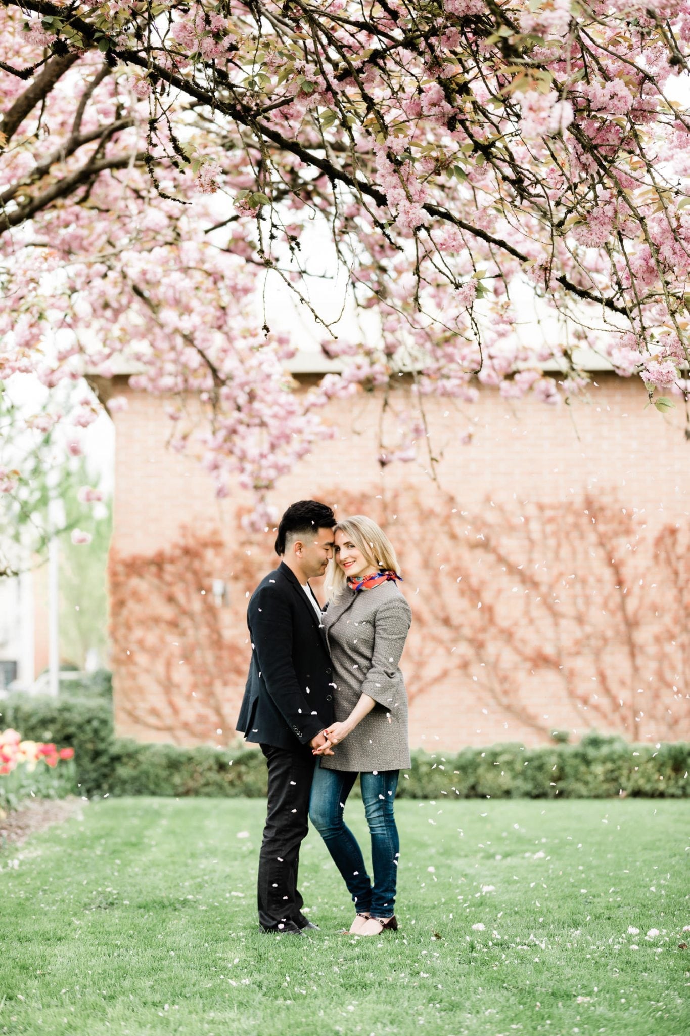 A couple standing under cherry blossoms holding hands, photographed by wedding photographer