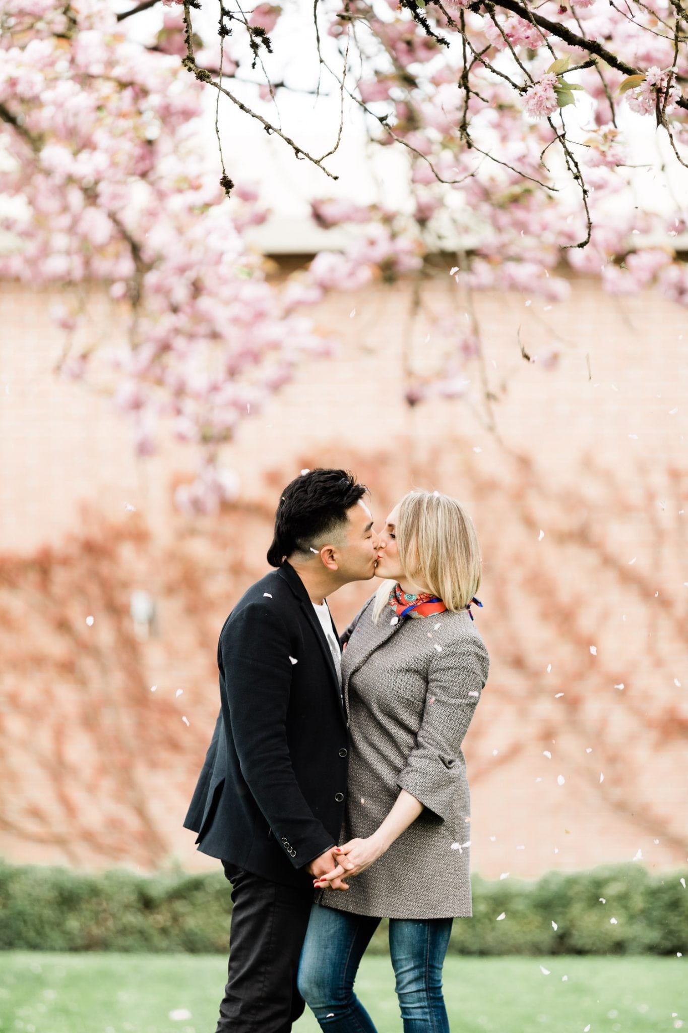 A couple standing under cherry blossoms and kissing, photographed by engagement photographer